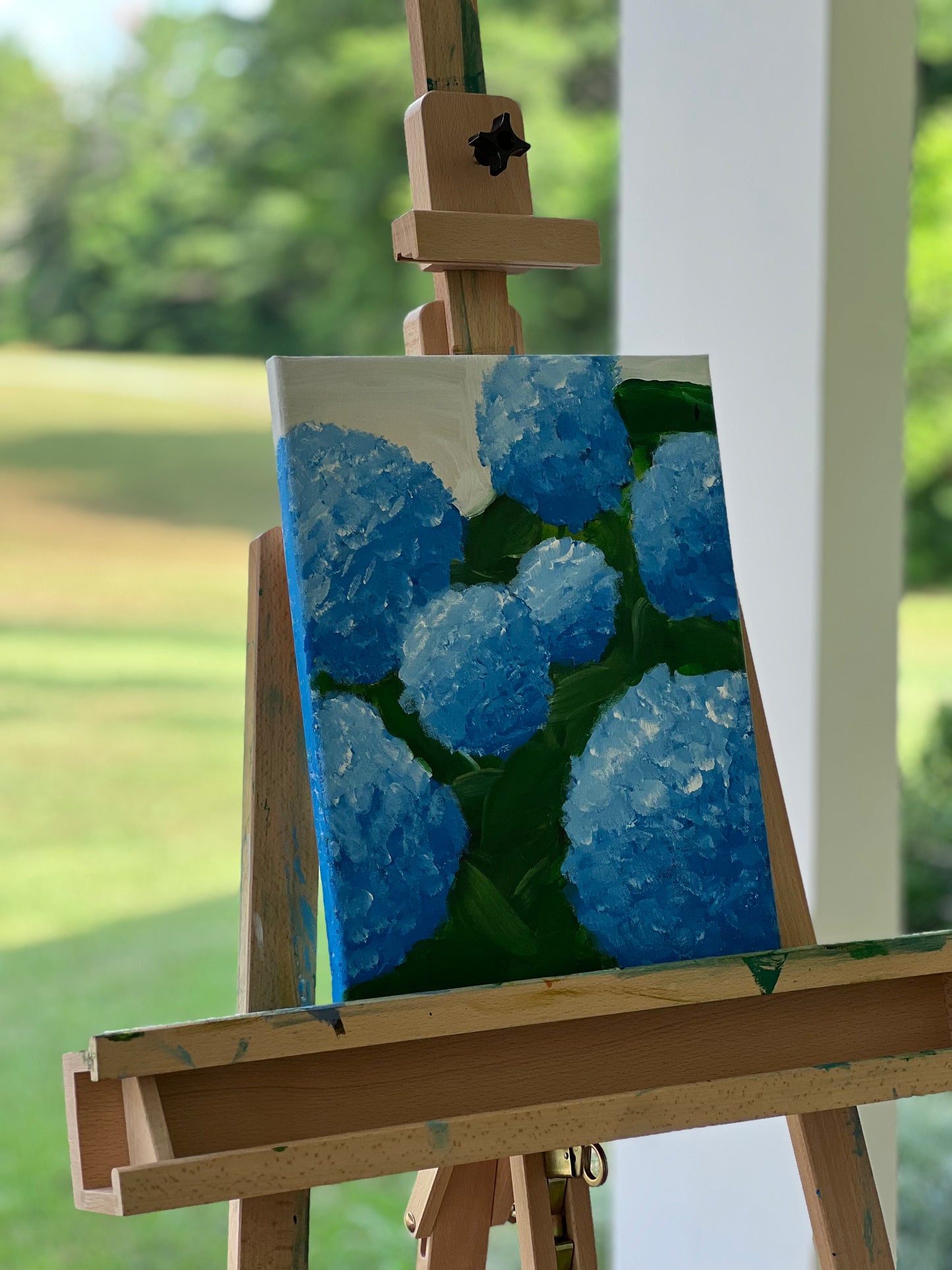 Blue Hydrangeas